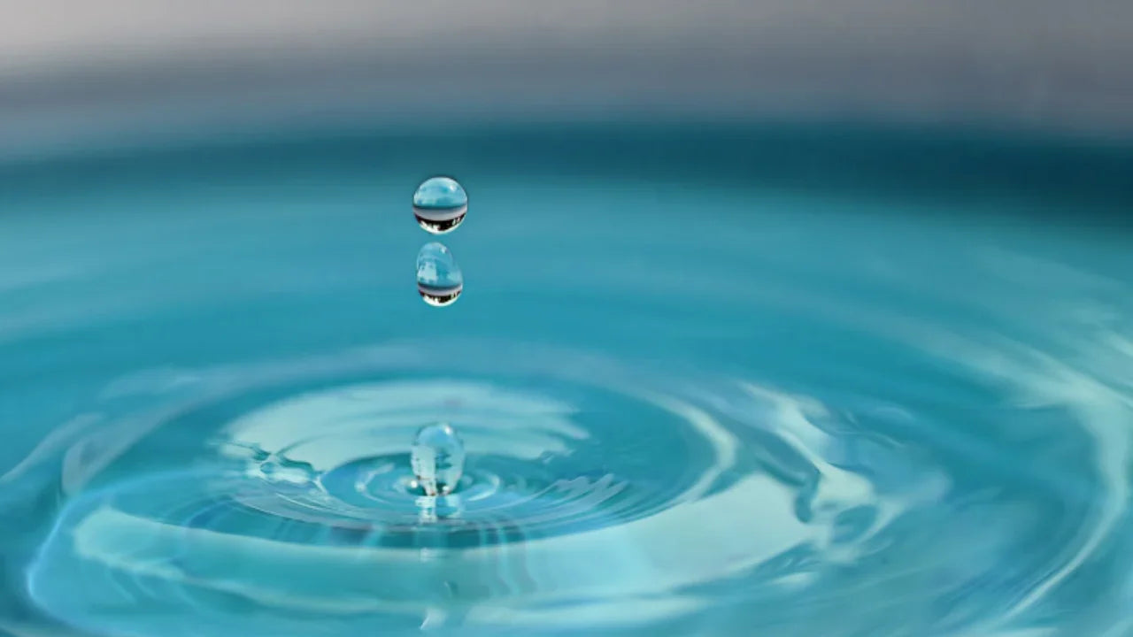 Hydration, Cellular Health and Menopause