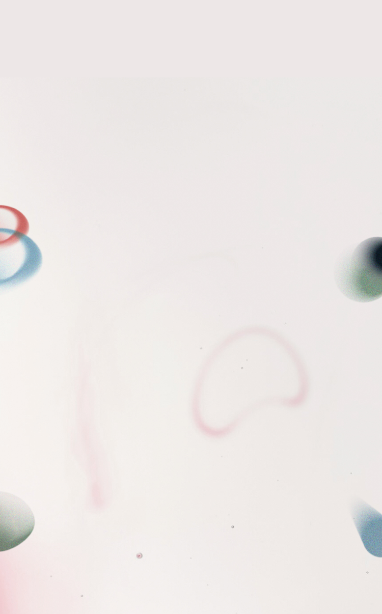 Background Amira Website